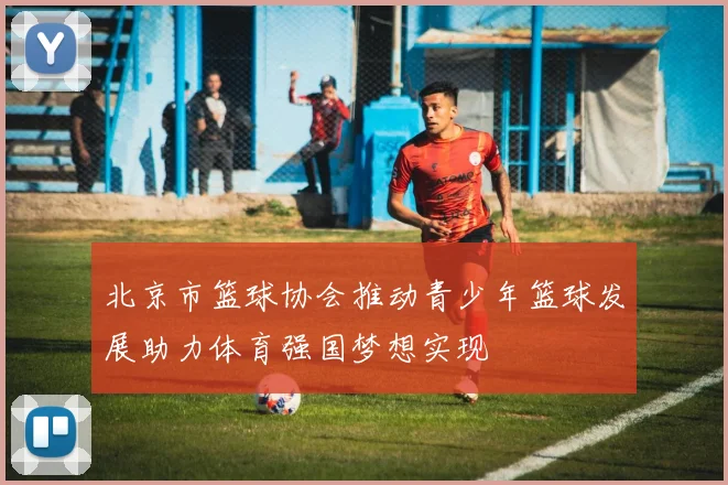 北京市篮球协会推动青少年篮球发展助力体育强国梦想实现