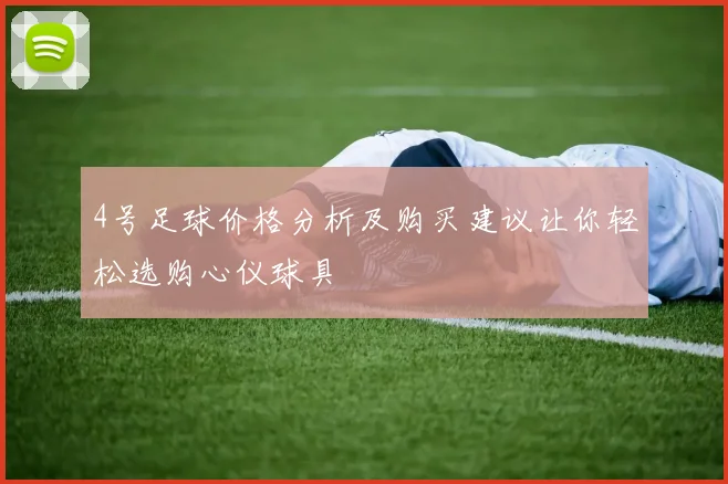4号足球价格分析及购买建议让你轻松选购心仪球具