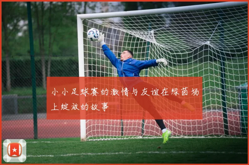 小小足球赛的激情与友谊在绿茵场上绽放的故事