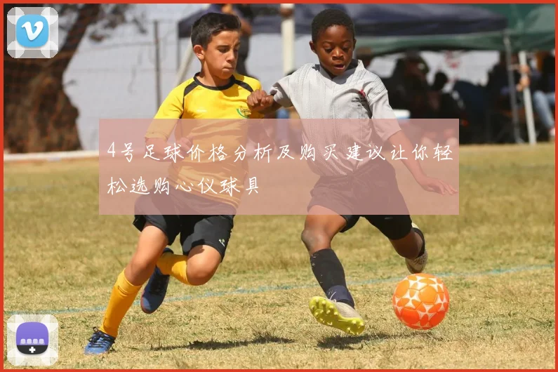 4号足球价格分析及购买建议让你轻松选购心仪球具