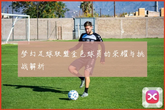 梦幻足球联盟金色球员的荣耀与挑战解析