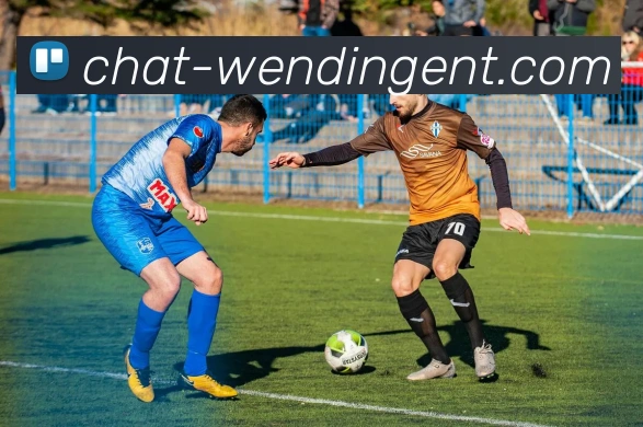 WENDING中国官网平台生态图