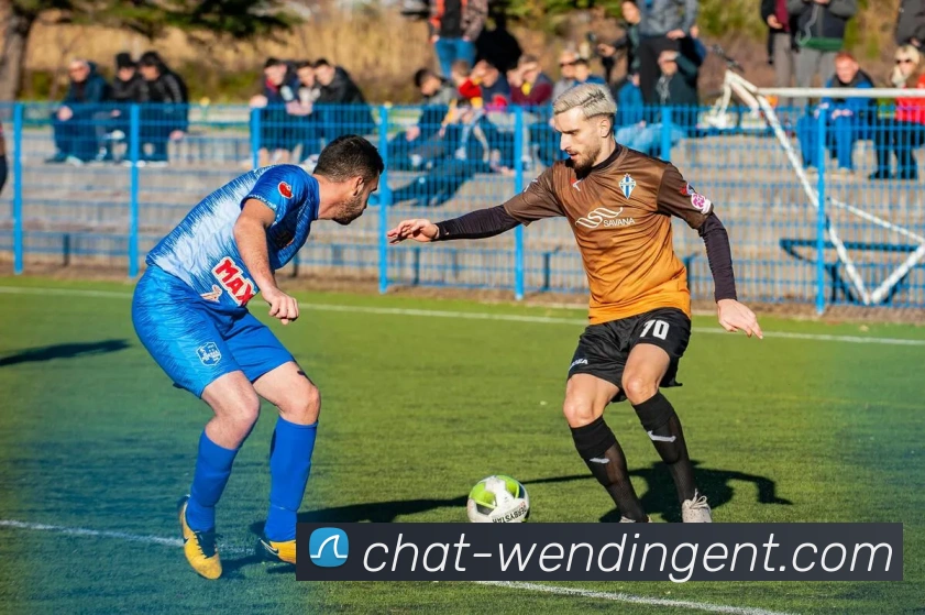 WENDING中国官网APP 封面图